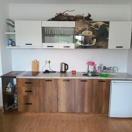 Golden Astoria Apartment Burgas